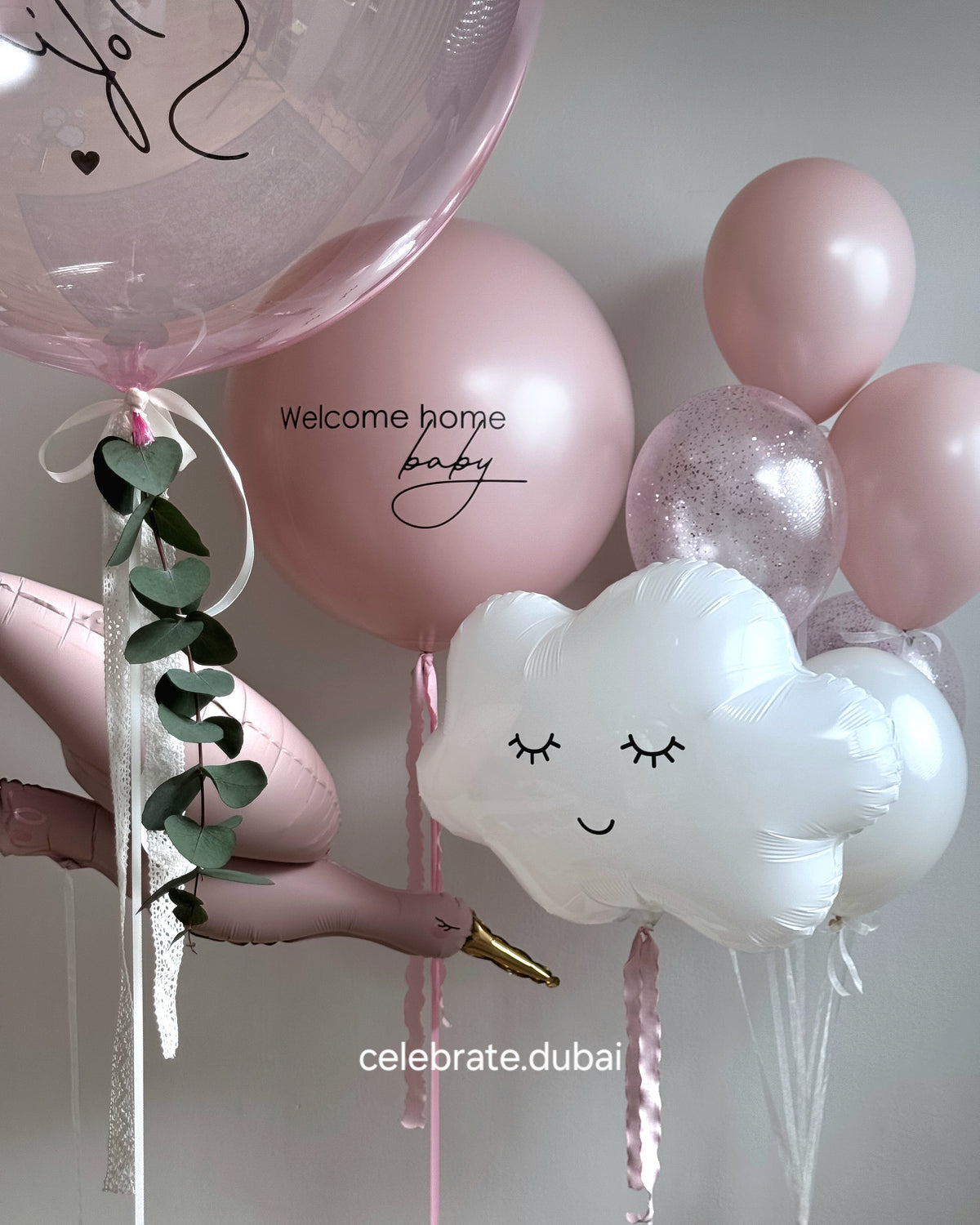 Newborn Balloons Set: 2 Personalized Bubble Balloons With Text And Fresh Eucalyptus, Bird Balloon, Cloud Balloon And Mix Of Pink And Confetti Balloons
